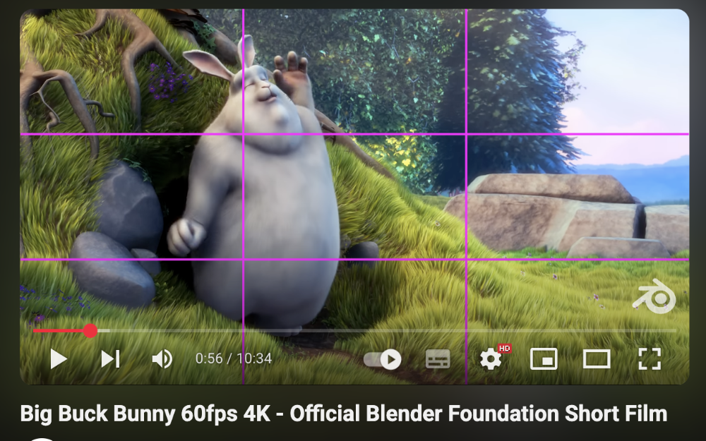 Rule of Thirds Video Overlay screenshot